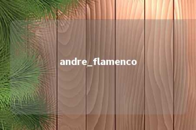 andre_flamenco 