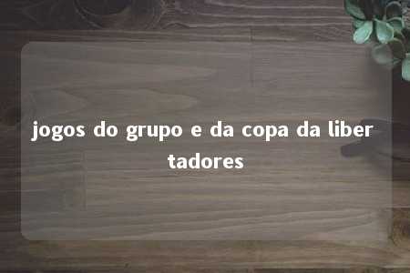 jogos do grupo e da copa da libertadores