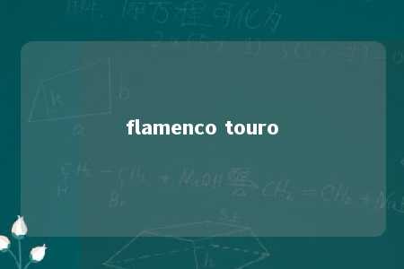 flamenco touro